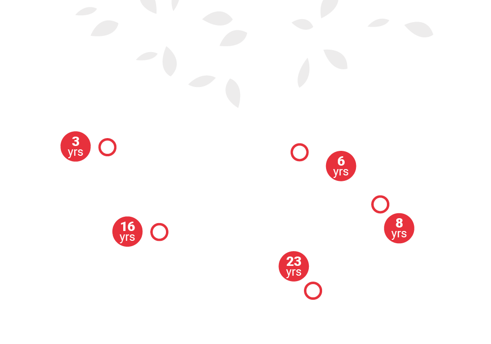 Tree graphic with transparent background