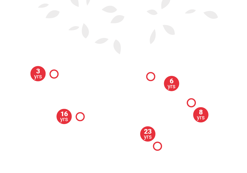 Tree graphic with transparent background